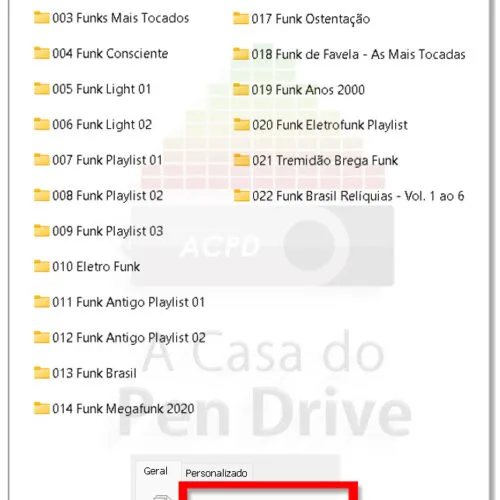 Pen Drive Gravado 16GB com mais de 2300 Músicas de Funk e Eletrofunk