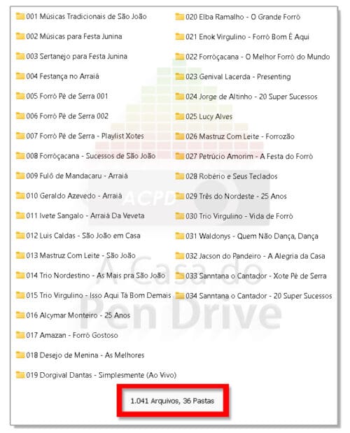 Pen Drive Gravado 16GB com mais de 1000 Músicas de Festa Junina e Forró Nordestino - Imagem 3