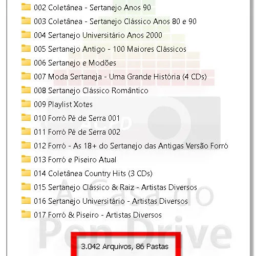Pen Drive Gravado 16GB com mais de 2900 Músicas de Sertanejo e Forró